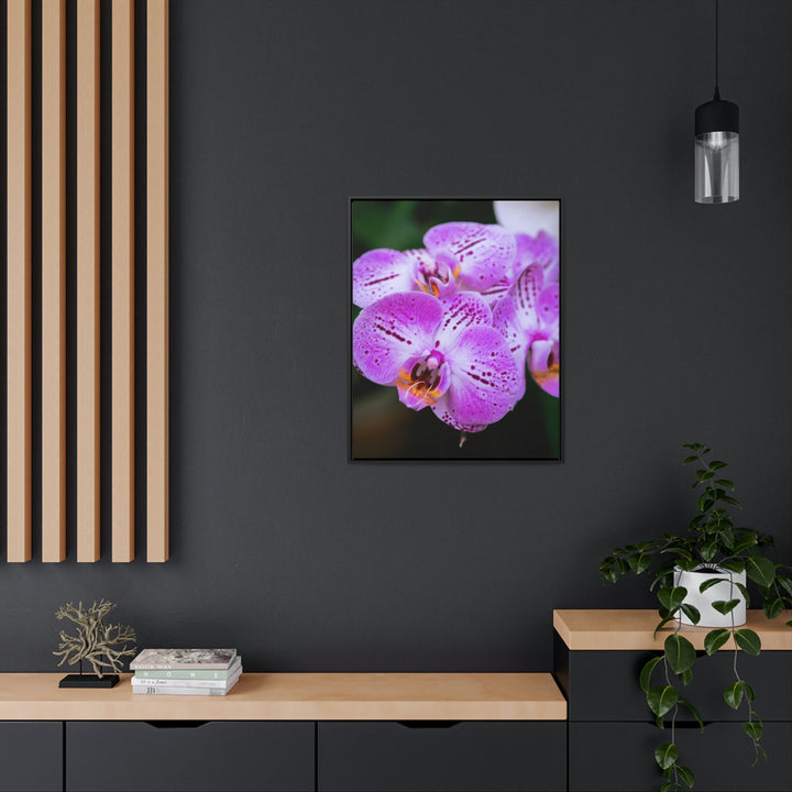 Orchid in Pink - Canvas with Frame - Visiting This World