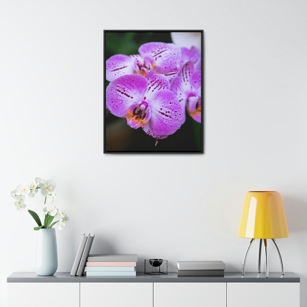 Orchid in Pink - Canvas with Frame - Visiting This World