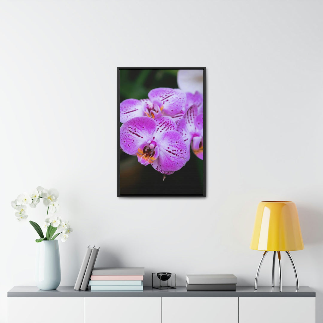 Orchid in Pink - Canvas with Frame - Visiting This World