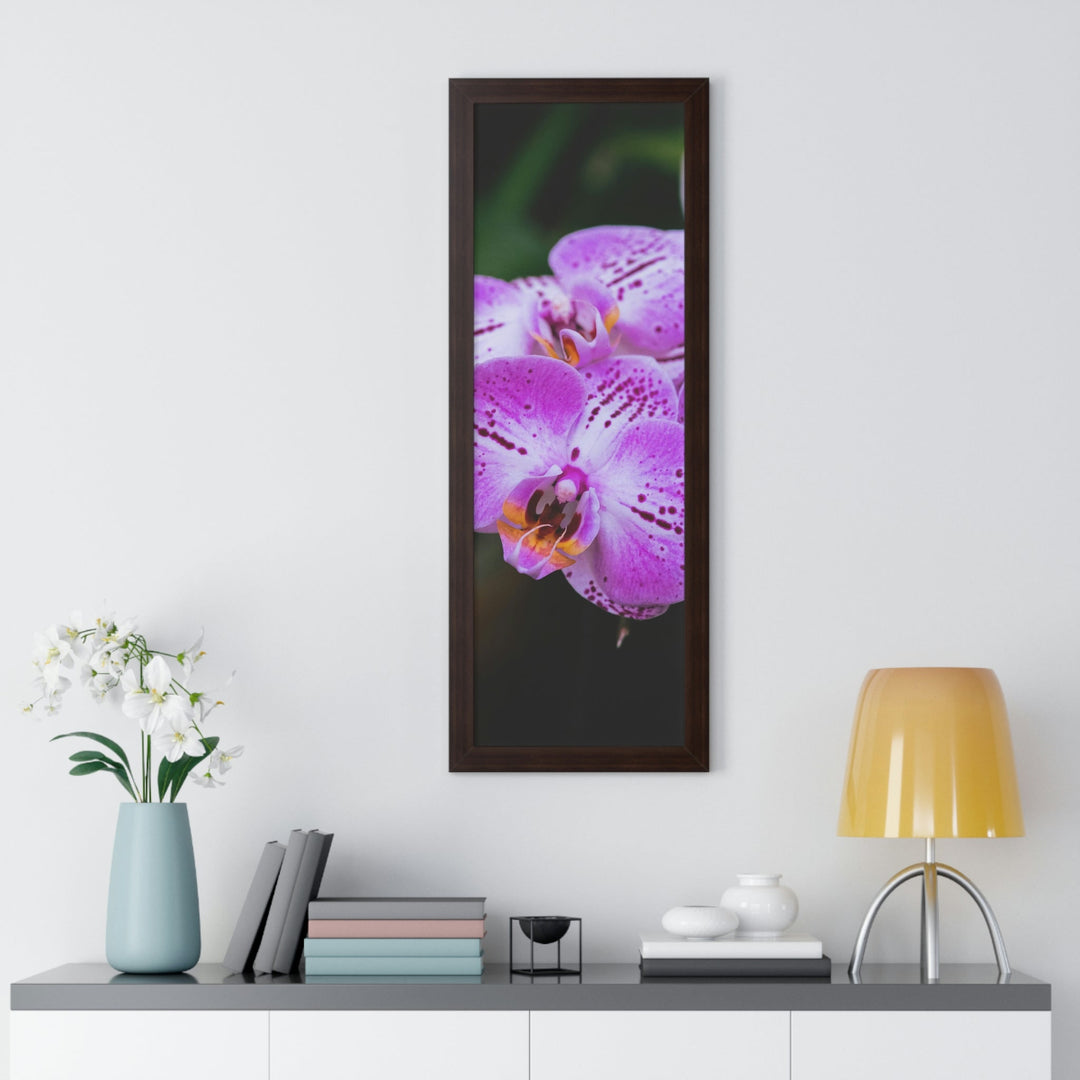 Orchid in Pink - Framed Print - Visiting This World