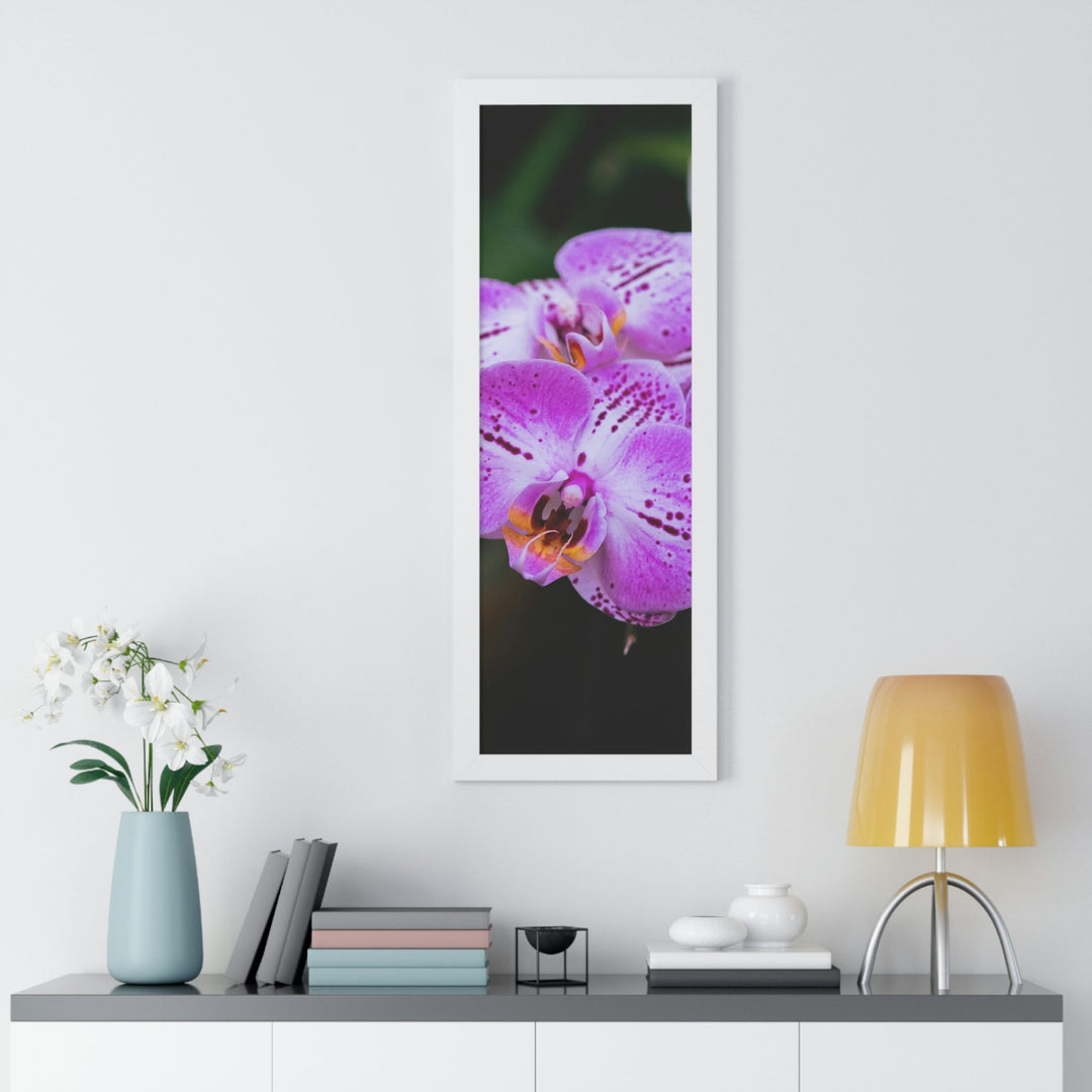 Orchid in Pink - Framed Print - Visiting This World