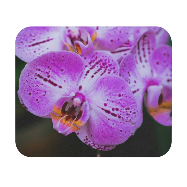 Orchid in Pink - Mouse Pad (Rectangle) - Visiting This World