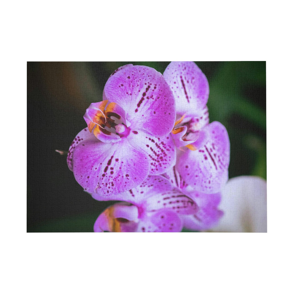 Orchid in Pink - Nature Puzzle (96, 252, 500, 1000-Piece) - Visiting This World