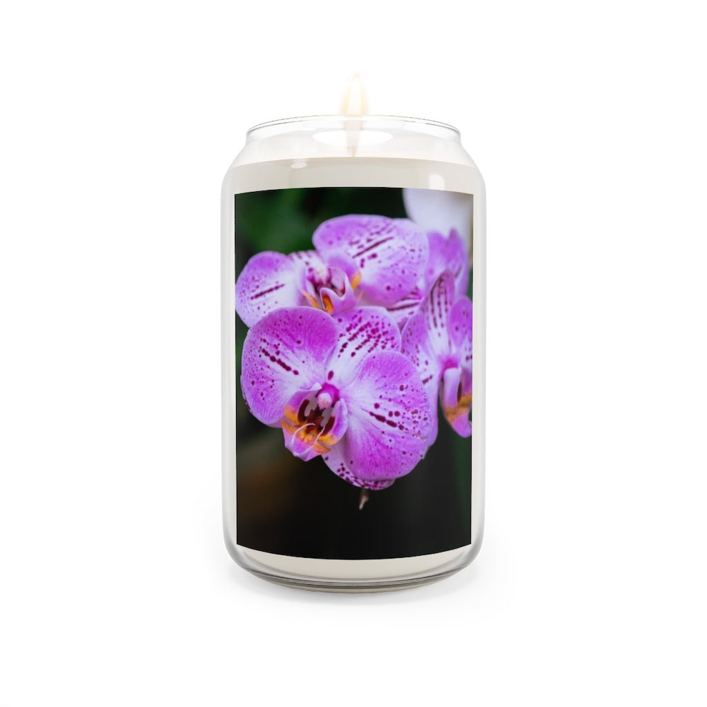 Orchid in Pink - Scented Candle, 13.75oz - Visiting This World