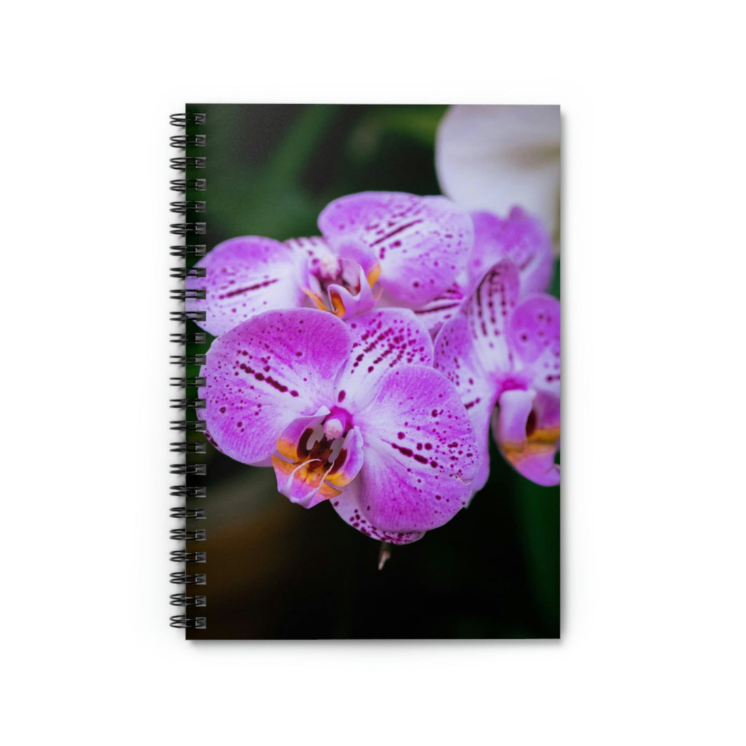 Orchid in Pink - Spiral Ruled Line Notebook - Visiting This World