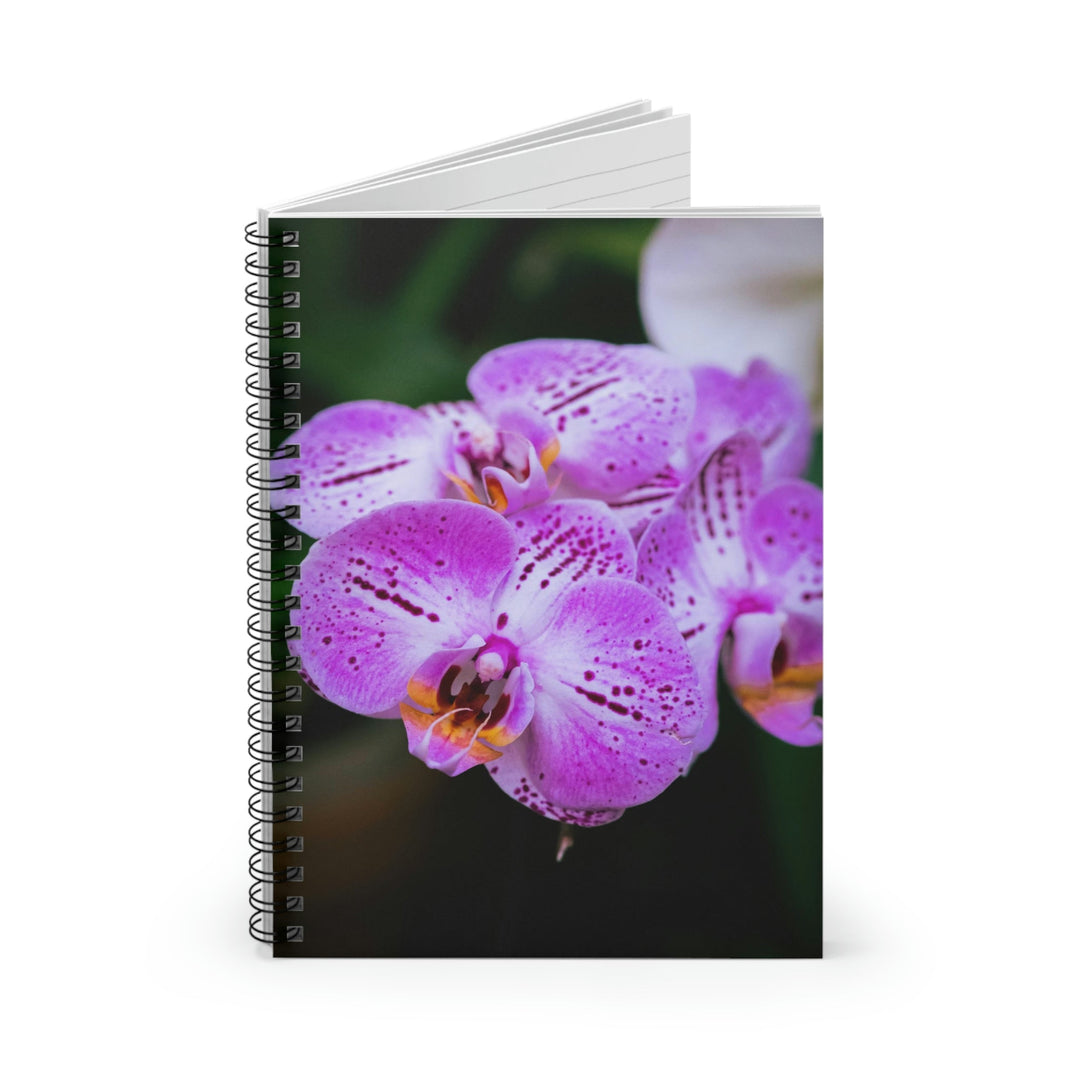 Orchid in Pink - Spiral Ruled Line Notebook - Visiting This World