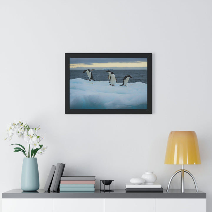 Penguin Dance - Framed Print - Visiting This World