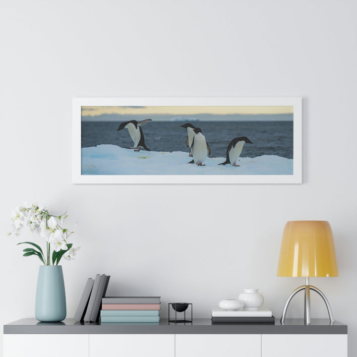 Penguin Dance - Framed Print - Visiting This World