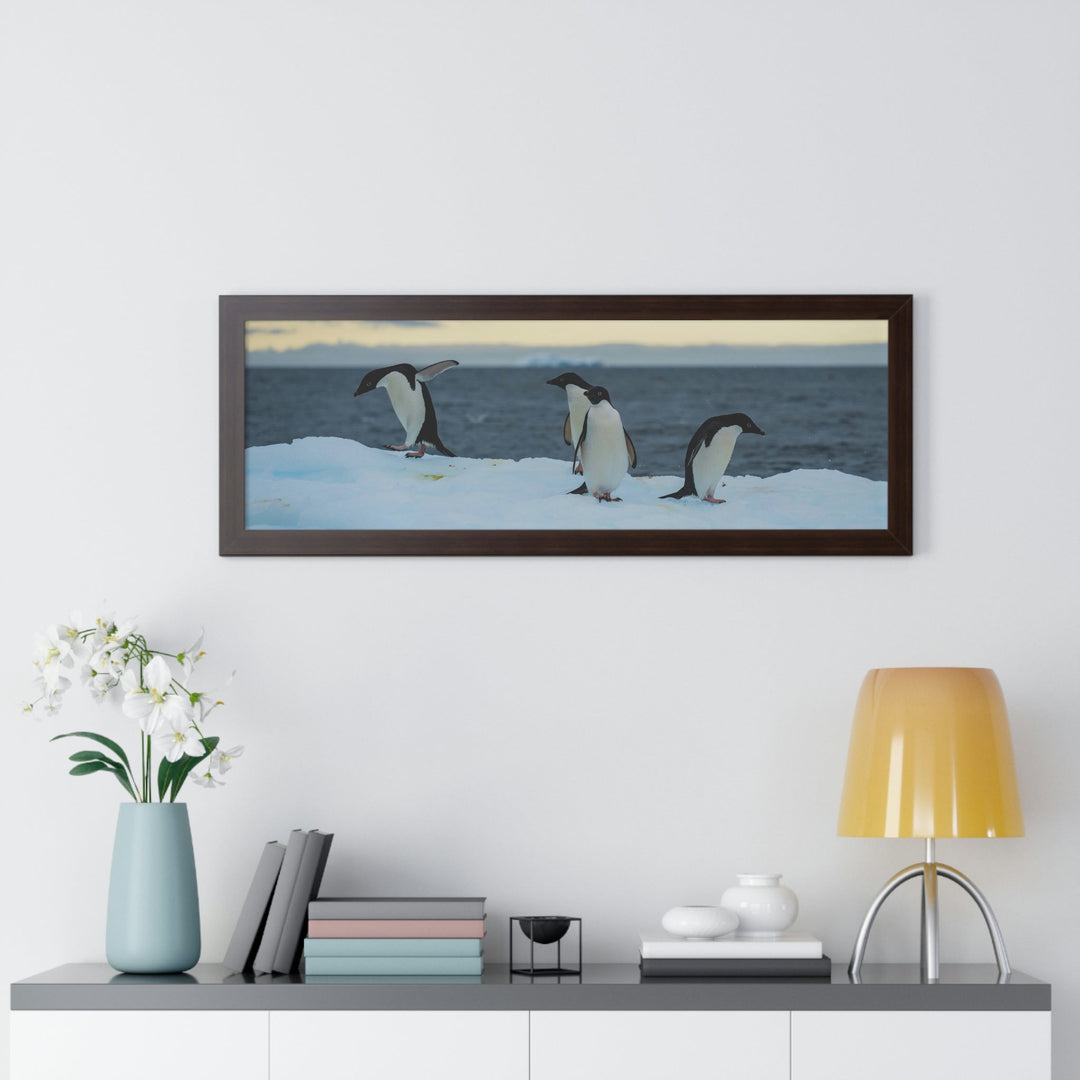 Penguin Dance - Framed Print - Visiting This World