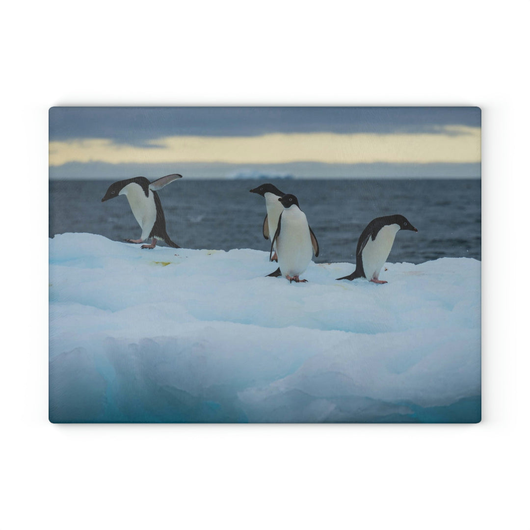 Penguin Dance - Glass Cutting Board - Visiting This World