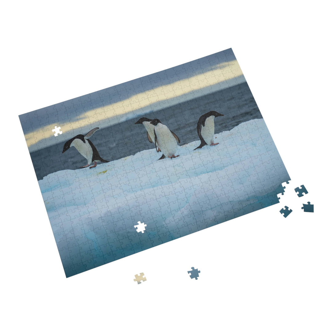 Penguin Dance - Nature Puzzle (96, 252, 500, 1000-Piece) - Visiting This World