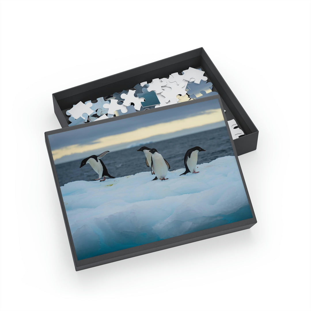 Penguin Dance - Nature Puzzle (96, 252, 500, 1000-Piece) - Visiting This World