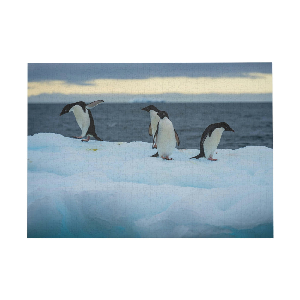 Penguin Dance - Nature Puzzle (96, 252, 500, 1000-Piece) - Visiting This World