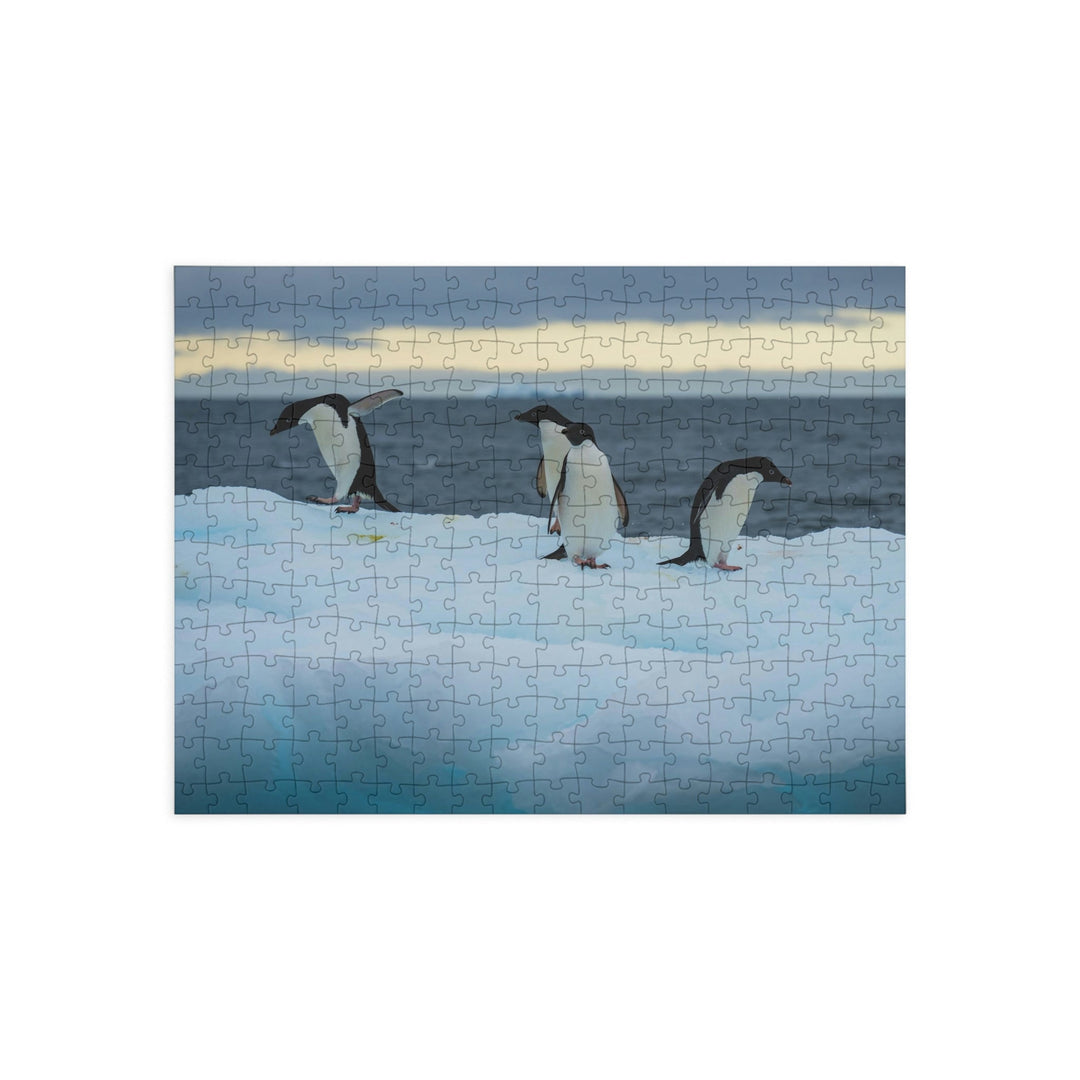 Penguin Dance - Nature Puzzle (96, 252, 500, 1000-Piece) - Visiting This World