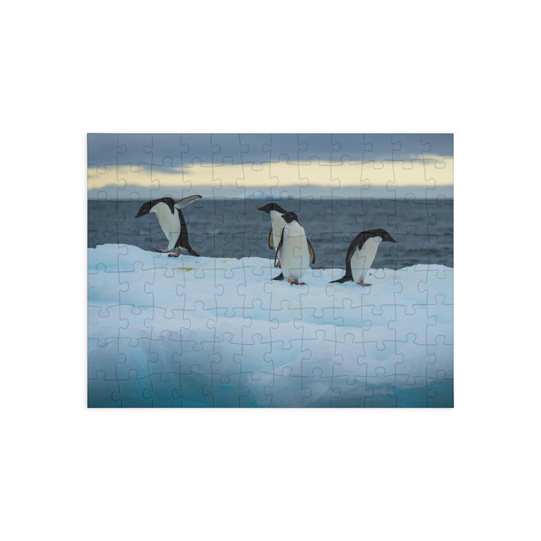 Penguin Dance - Nature Puzzle (96, 252, 500, 1000-Piece) - Visiting This World