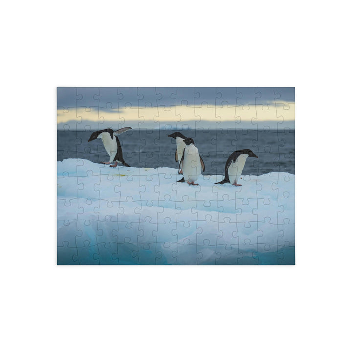 Penguin Dance - Nature Puzzle (96, 252, 500, 1000-Piece) - Visiting This World