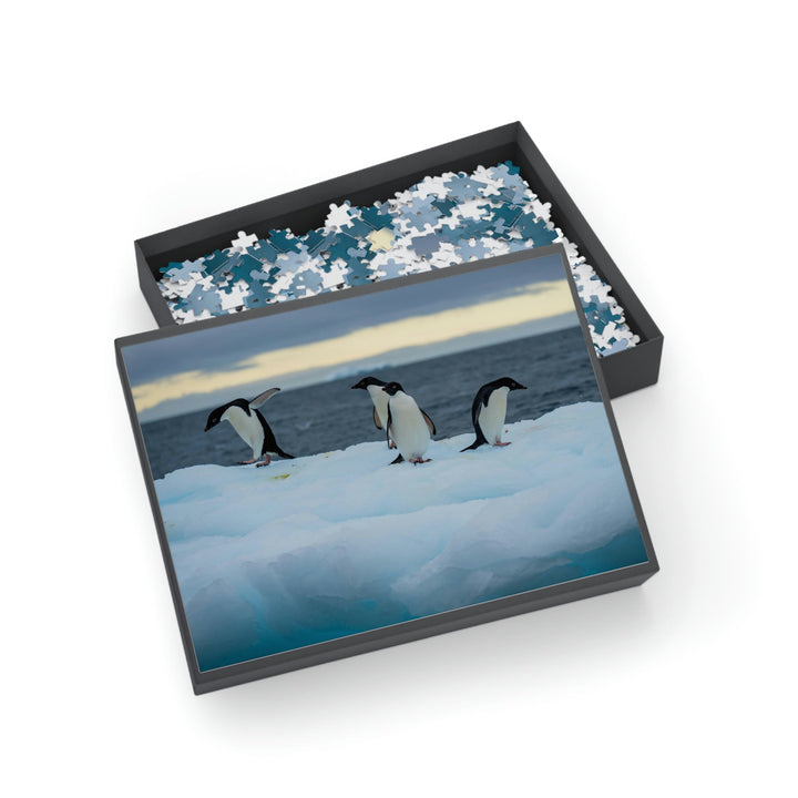 Penguin Dance - Nature Puzzle (96, 252, 500, 1000-Piece) - Visiting This World