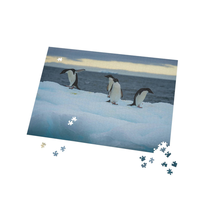 Penguin Dance - Nature Puzzle (96, 252, 500, 1000-Piece) - Visiting This World