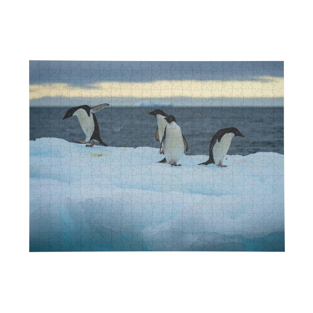 Penguin Dance - Nature Puzzle (96, 252, 500, 1000-Piece) - Visiting This World