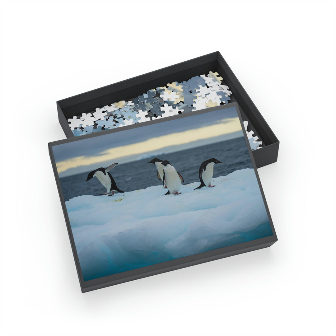 Penguin Dance - Nature Puzzle (96, 252, 500, 1000-Piece) - Visiting This World