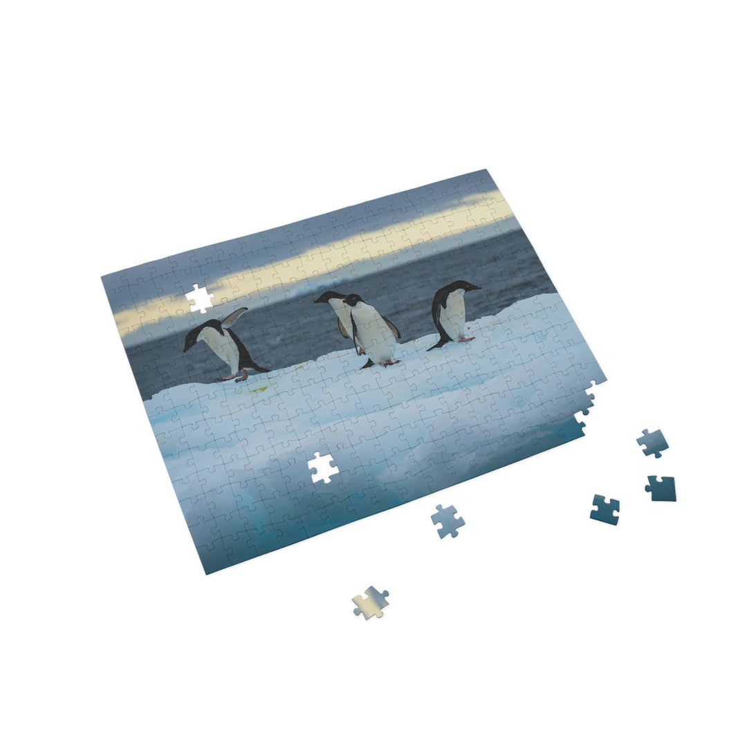 Penguin Dance - Nature Puzzle (96, 252, 500, 1000-Piece) - Visiting This World