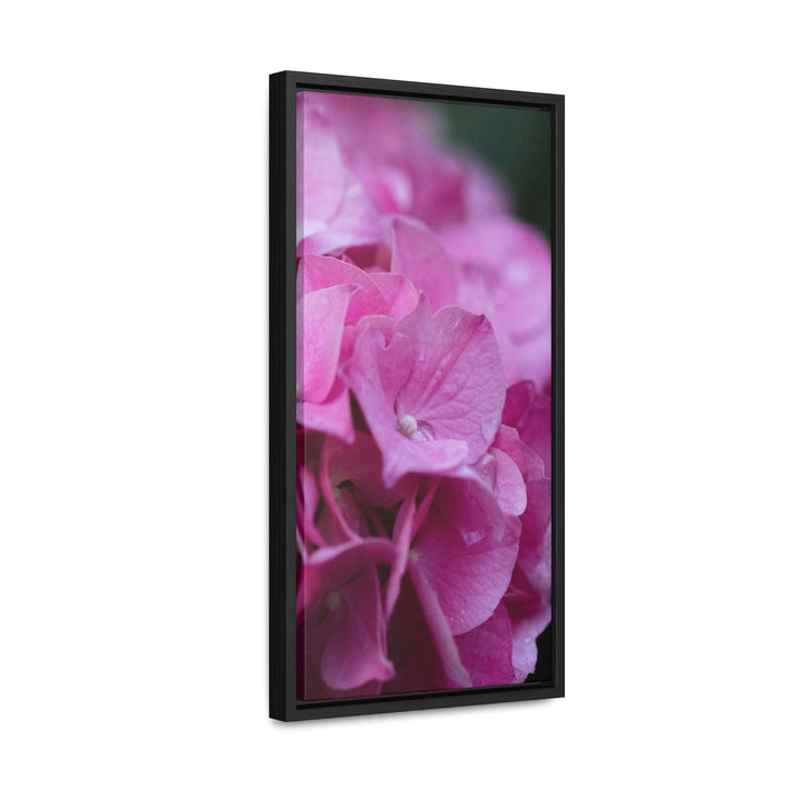 Pink Hydrangea Detail - Canvas with Frame - Visiting This World