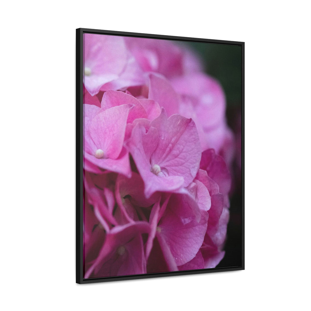 Pink Hydrangea Detail - Canvas with Frame - Visiting This World