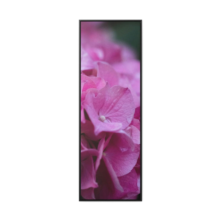 Pink Hydrangea Detail - Canvas with Frame - Visiting This World