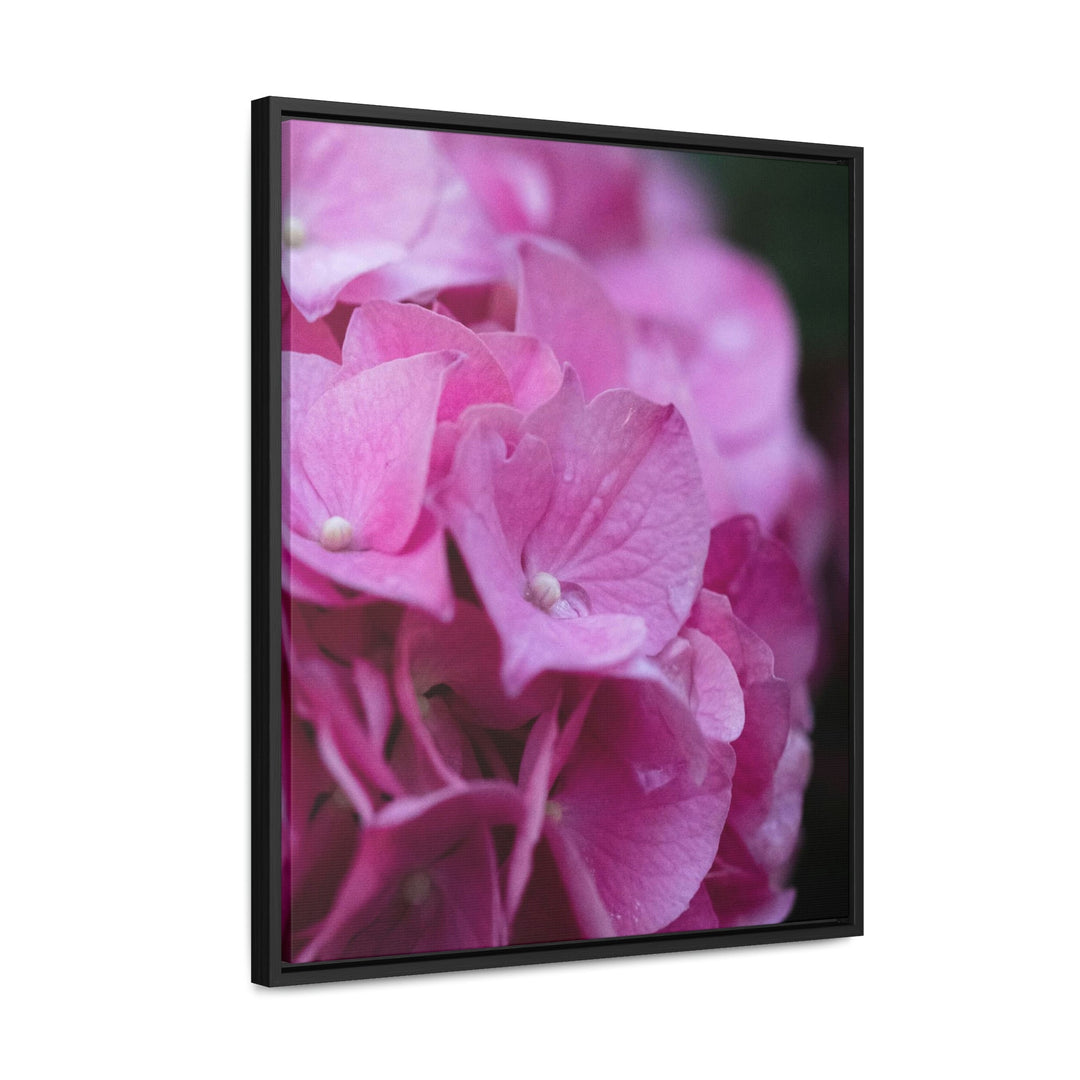 Pink Hydrangea Detail - Canvas with Frame - Visiting This World