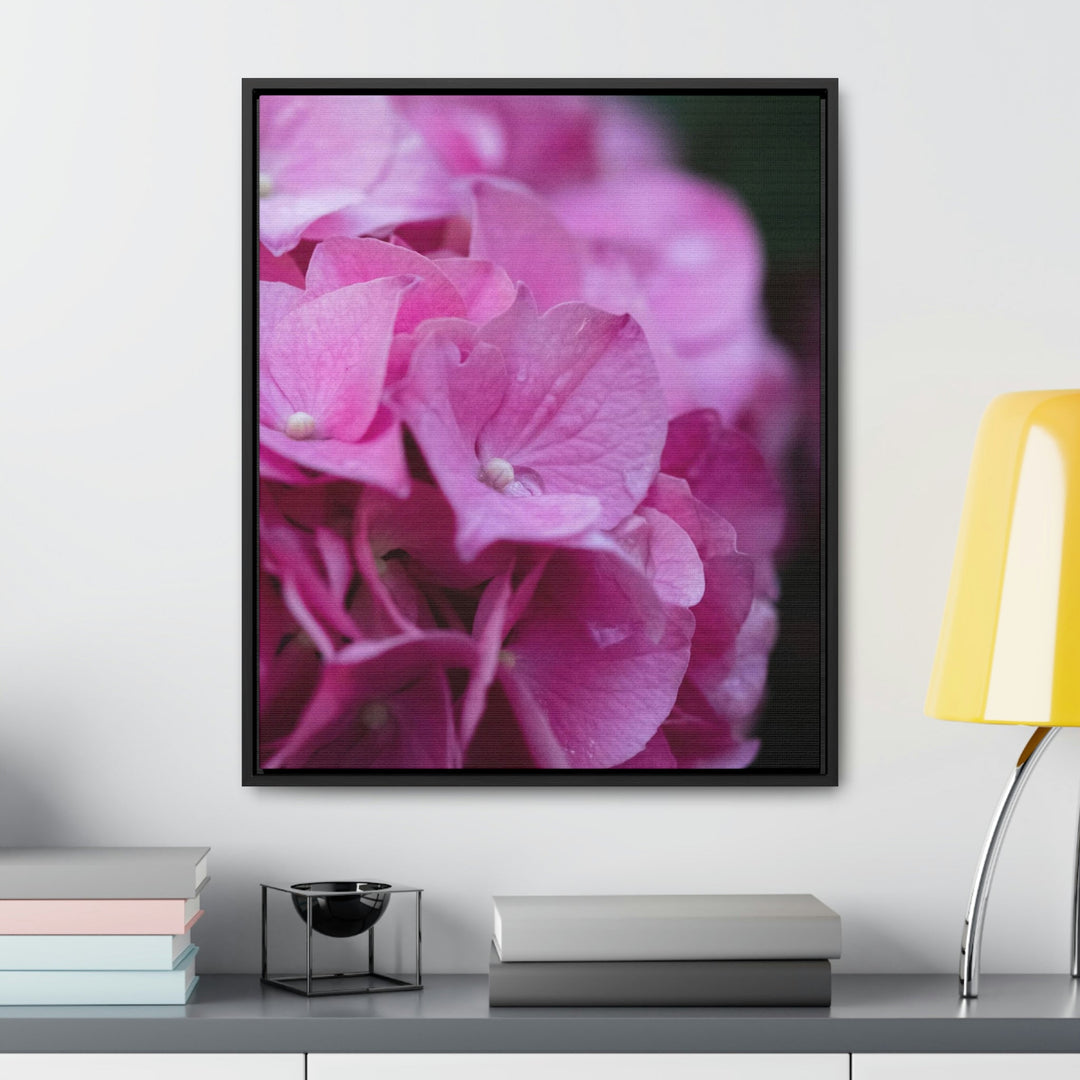 Pink Hydrangea Detail - Canvas with Frame - Visiting This World