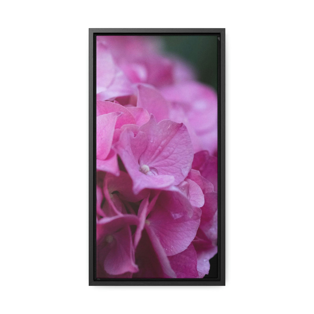 Pink Hydrangea Detail - Canvas with Frame - Visiting This World