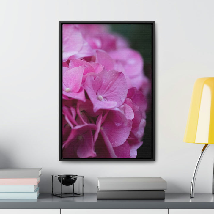 Pink Hydrangea Detail - Canvas with Frame - Visiting This World