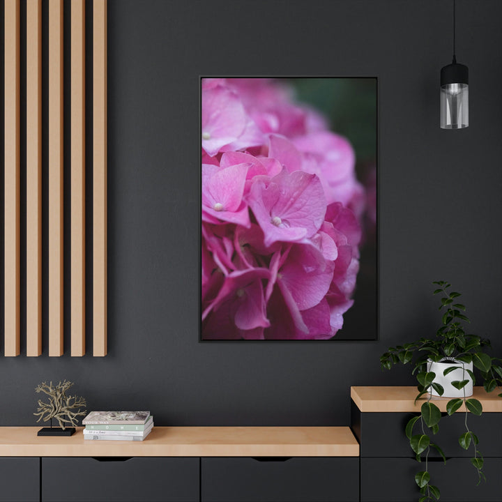 Pink Hydrangea Detail - Canvas with Frame - Visiting This World