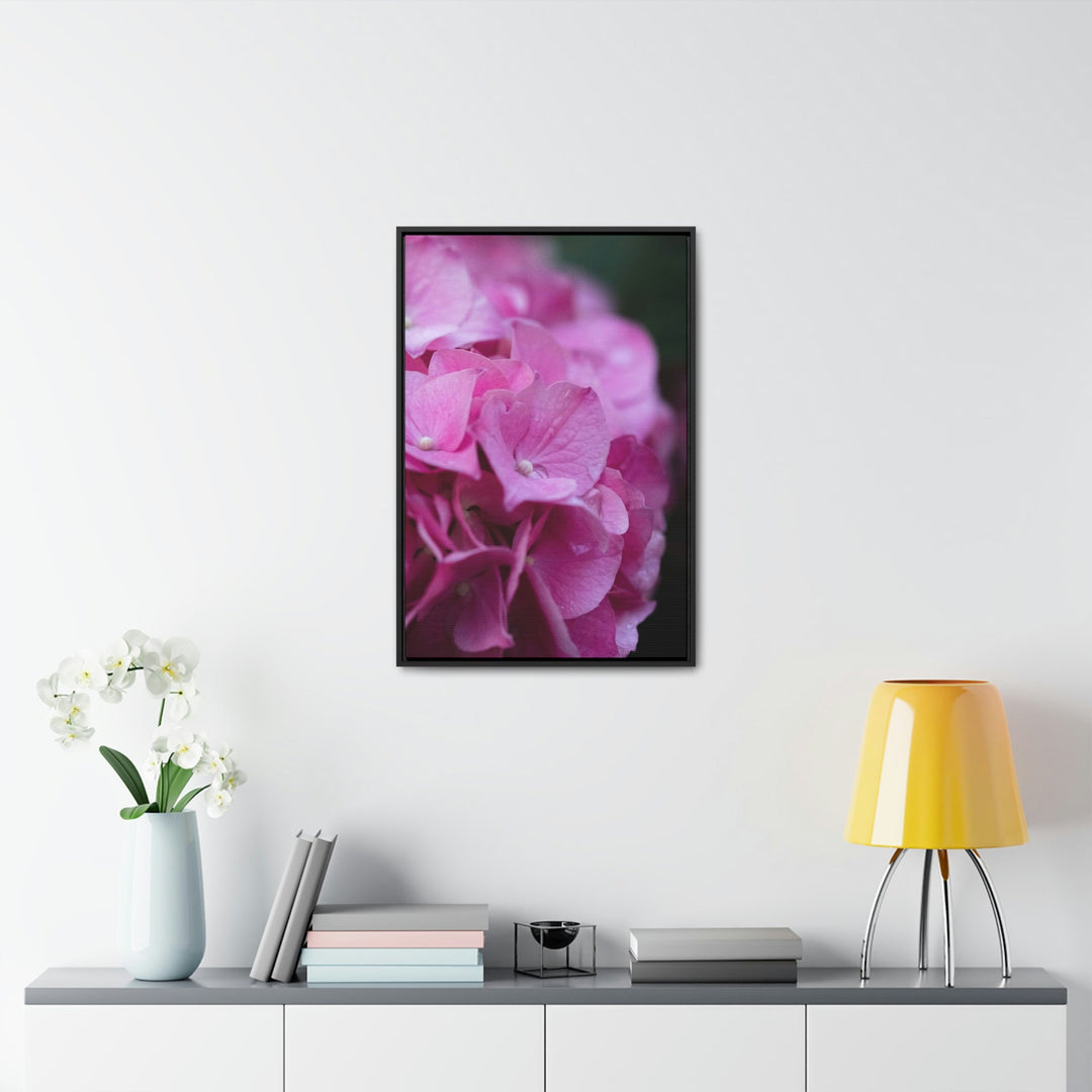 Pink Hydrangea Detail - Canvas with Frame - Visiting This World