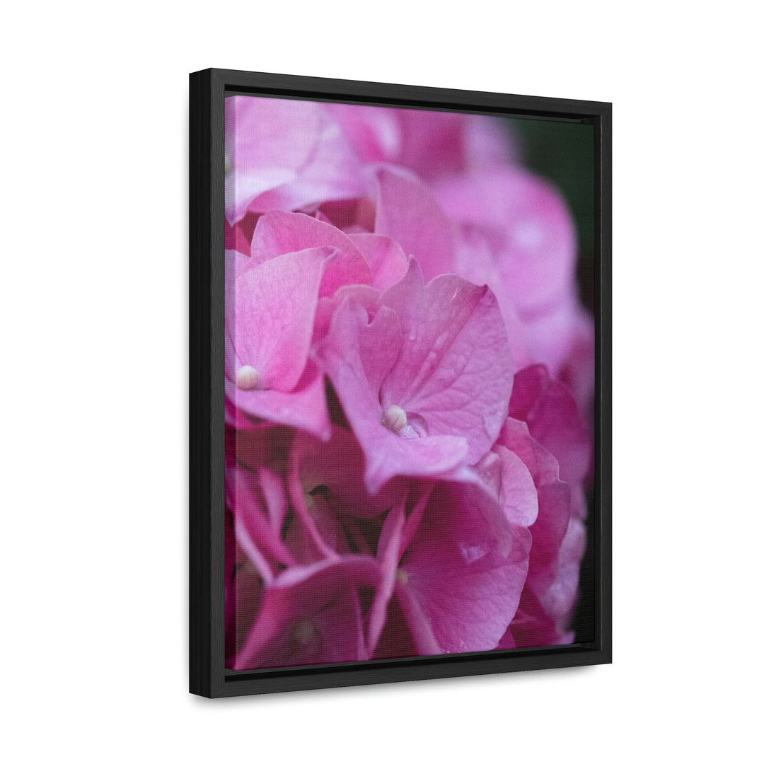 Pink Hydrangea Detail - Canvas with Frame - Visiting This World