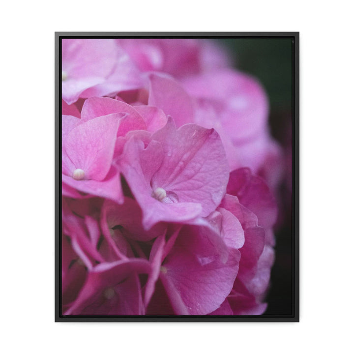 Pink Hydrangea Detail - Canvas with Frame - Visiting This World