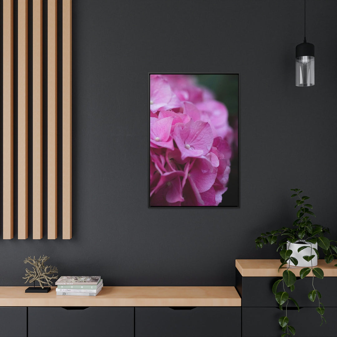 Pink Hydrangea Detail - Canvas with Frame - Visiting This World