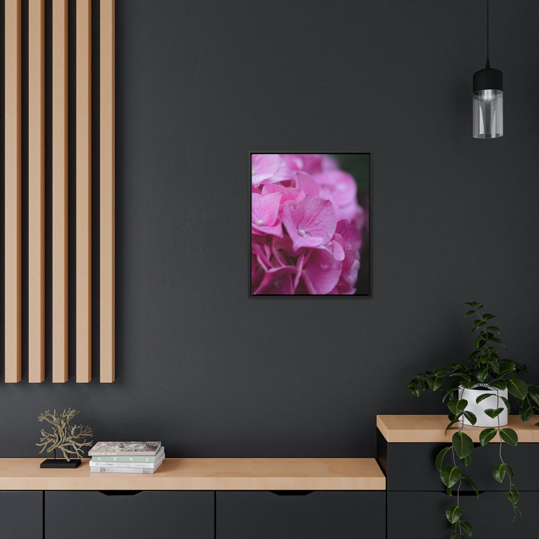 Pink Hydrangea Detail - Canvas with Frame - Visiting This World