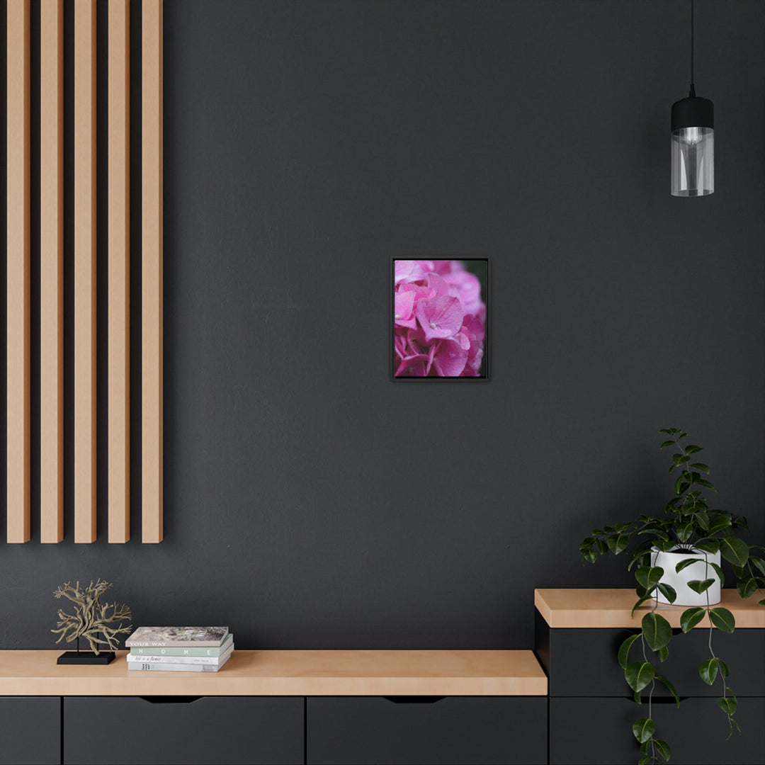 Pink Hydrangea Detail - Canvas with Frame - Visiting This World