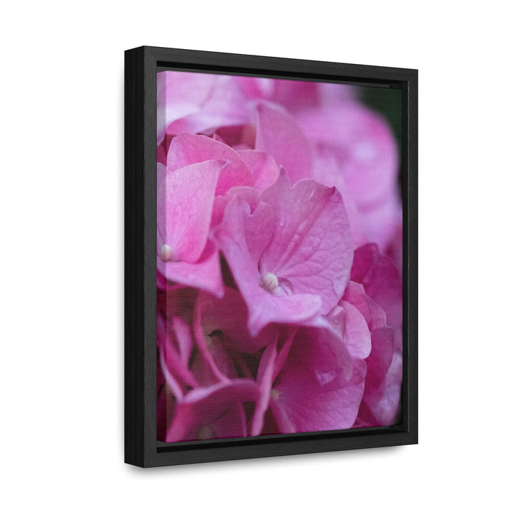 Pink Hydrangea Detail - Canvas with Frame - Visiting This World