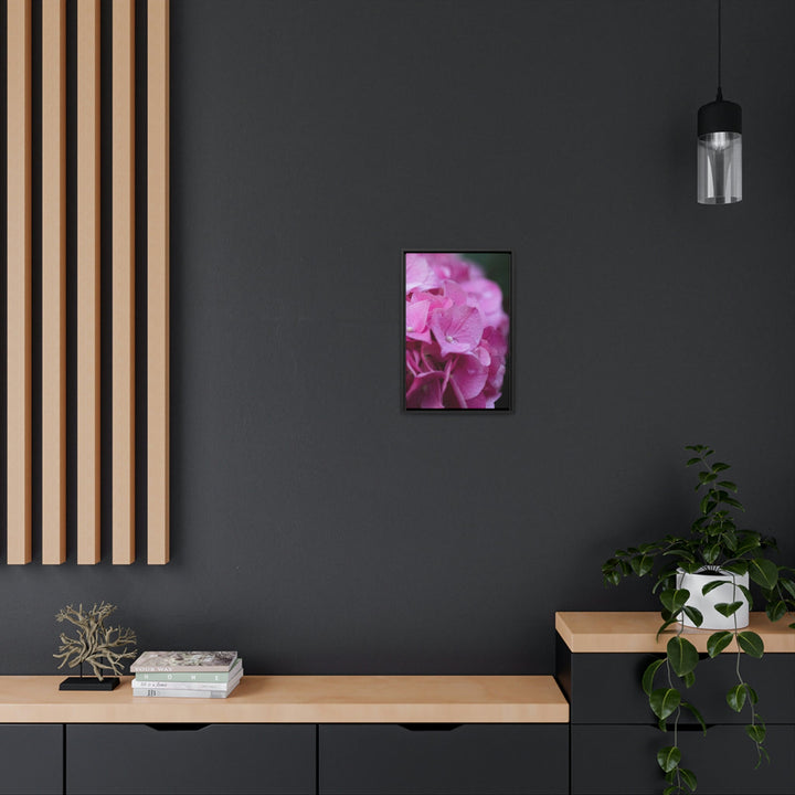 Pink Hydrangea Detail - Canvas with Frame - Visiting This World