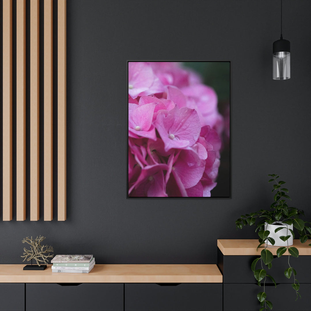 Pink Hydrangea Detail - Canvas with Frame - Visiting This World