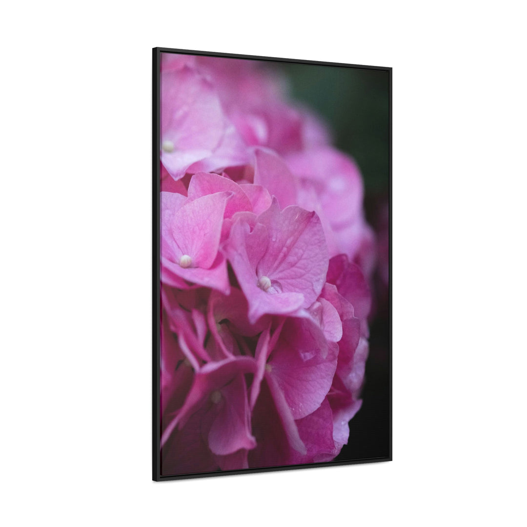 Pink Hydrangea Detail - Canvas with Frame - Visiting This World