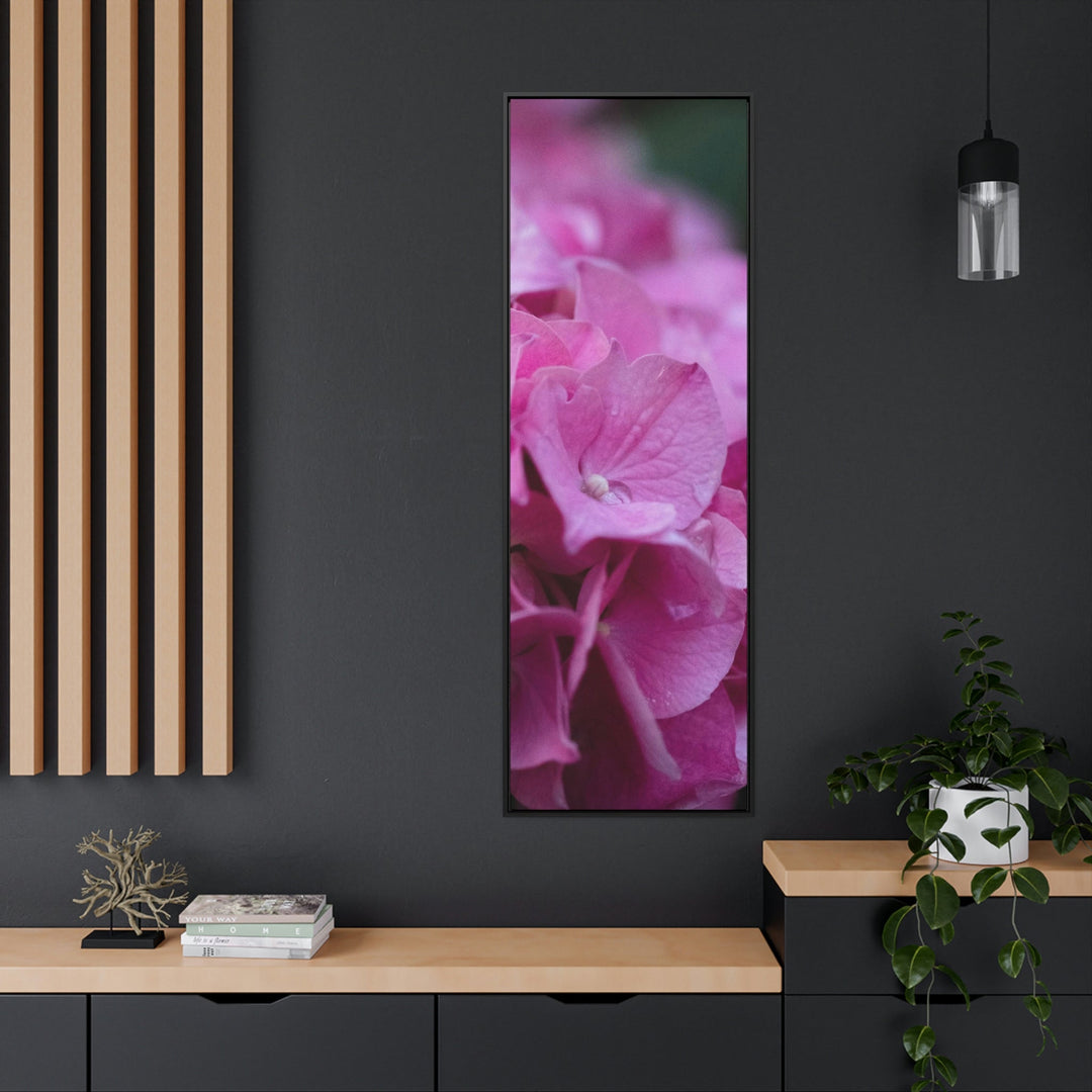 Pink Hydrangea Detail - Canvas with Frame - Visiting This World