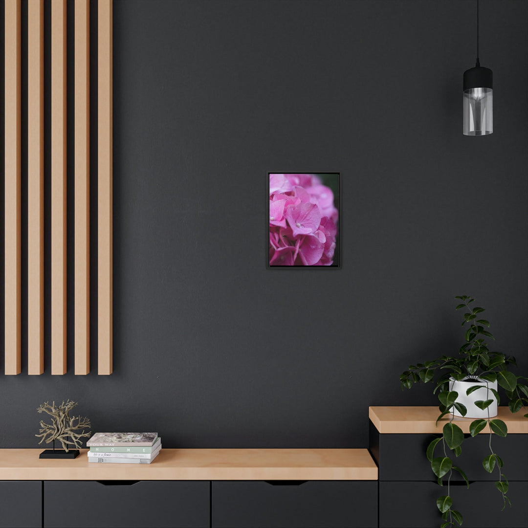 Pink Hydrangea Detail - Canvas with Frame - Visiting This World