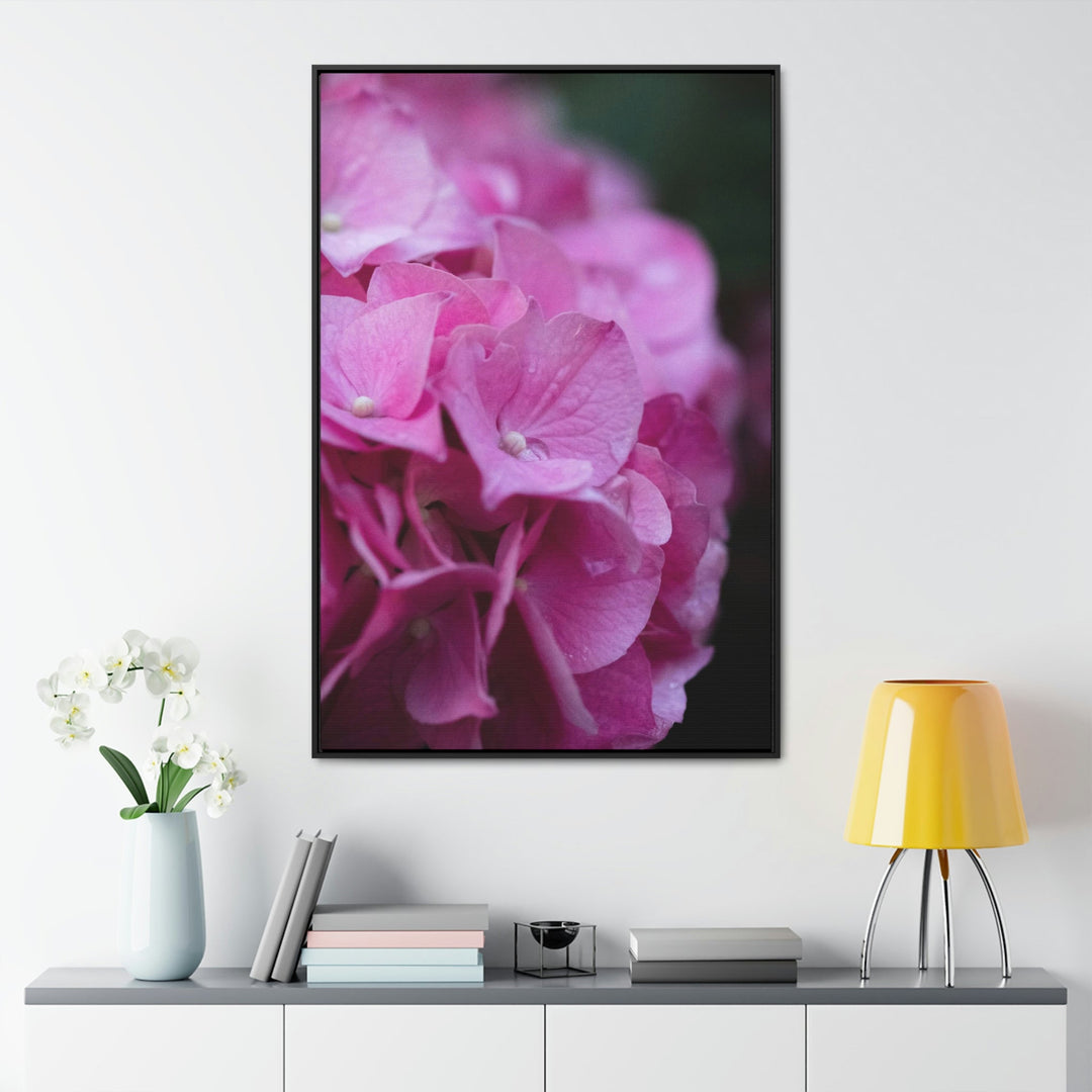 Pink Hydrangea Detail - Canvas with Frame - Visiting This World