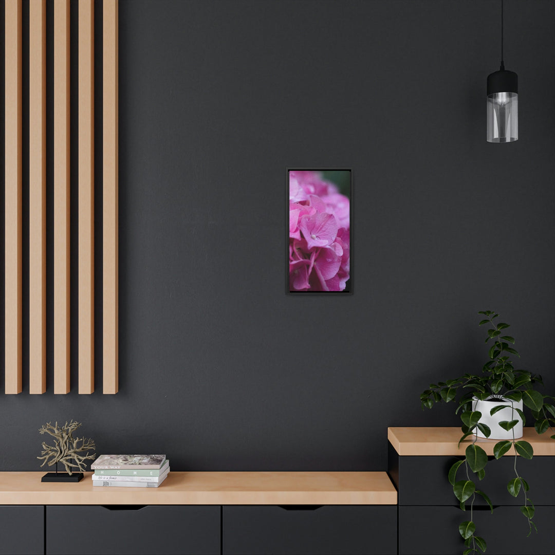 Pink Hydrangea Detail - Canvas with Frame - Visiting This World