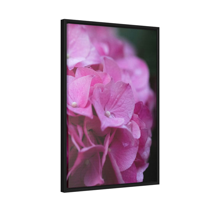 Pink Hydrangea Detail - Canvas with Frame - Visiting This World