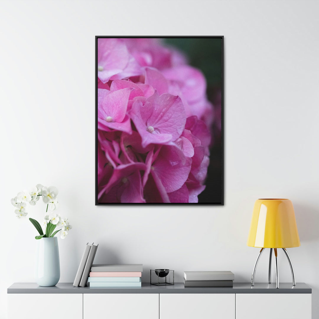 Pink Hydrangea Detail - Canvas with Frame - Visiting This World