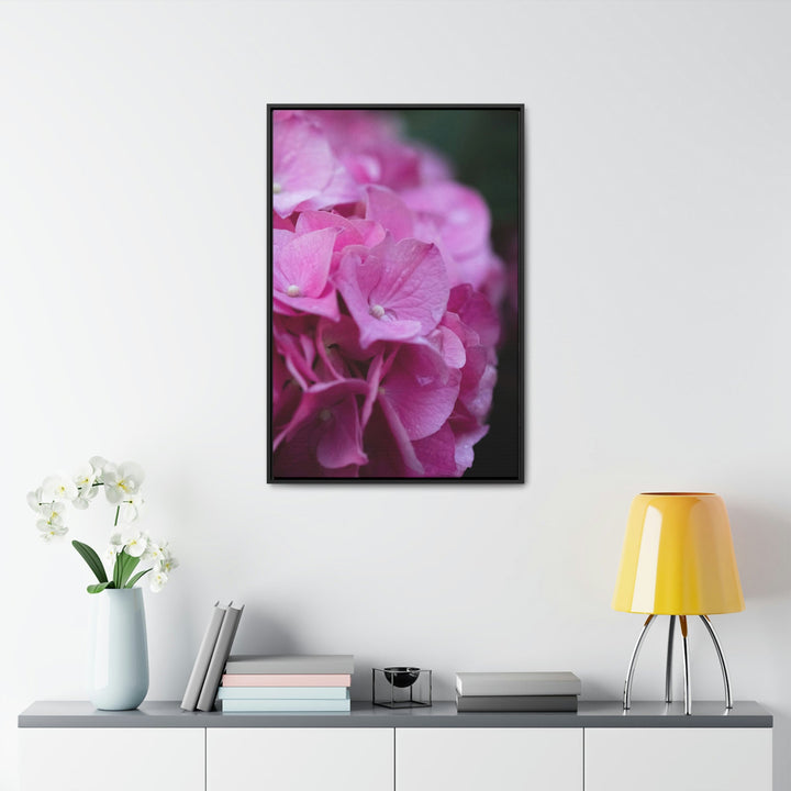 Pink Hydrangea Detail - Canvas with Frame - Visiting This World